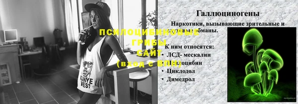 2c-b Алзамай