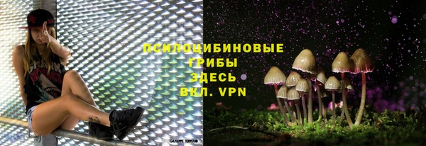 2c-b Алзамай