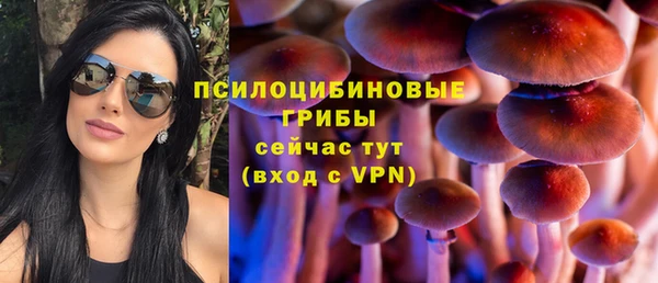 ECSTASY Алексин